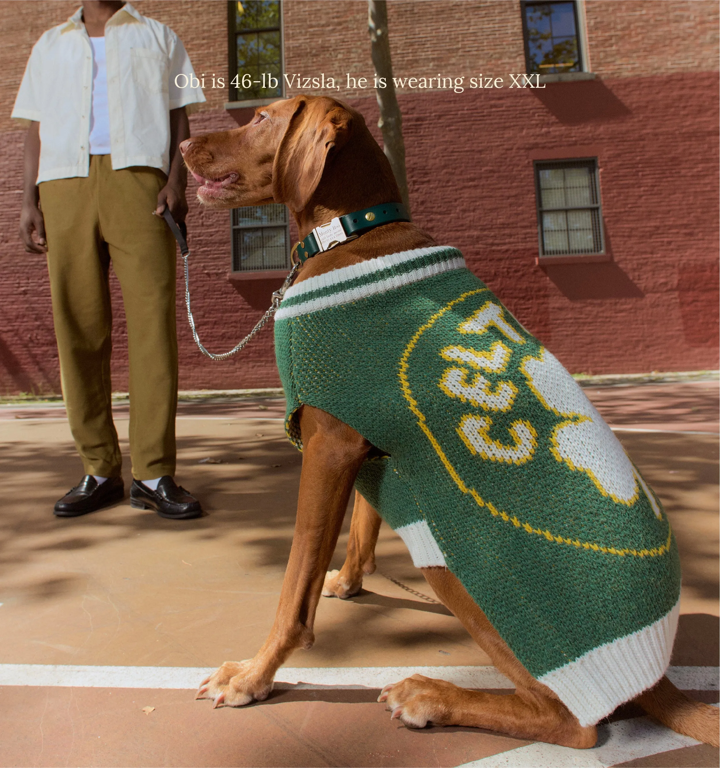 Boston Celtics Dog Sweater - NBA