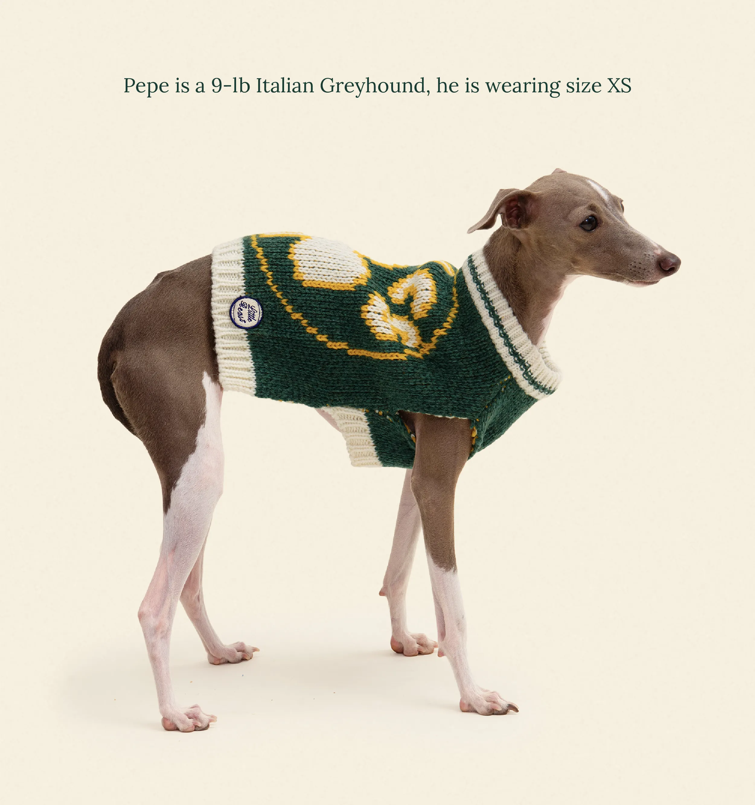 Boston Celtics Dog Sweater - NBA