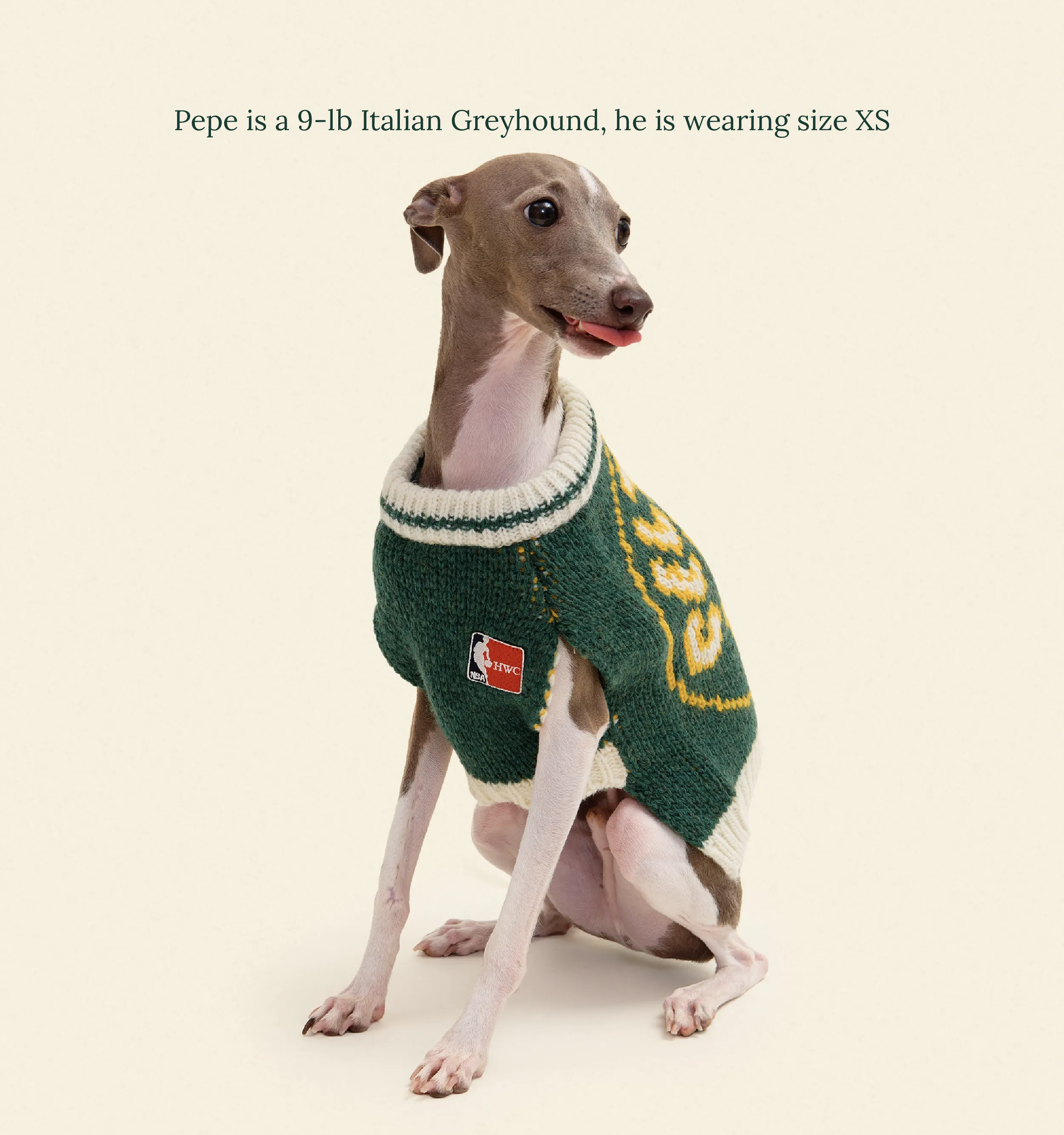 Boston Celtics Dog Sweater - NBA