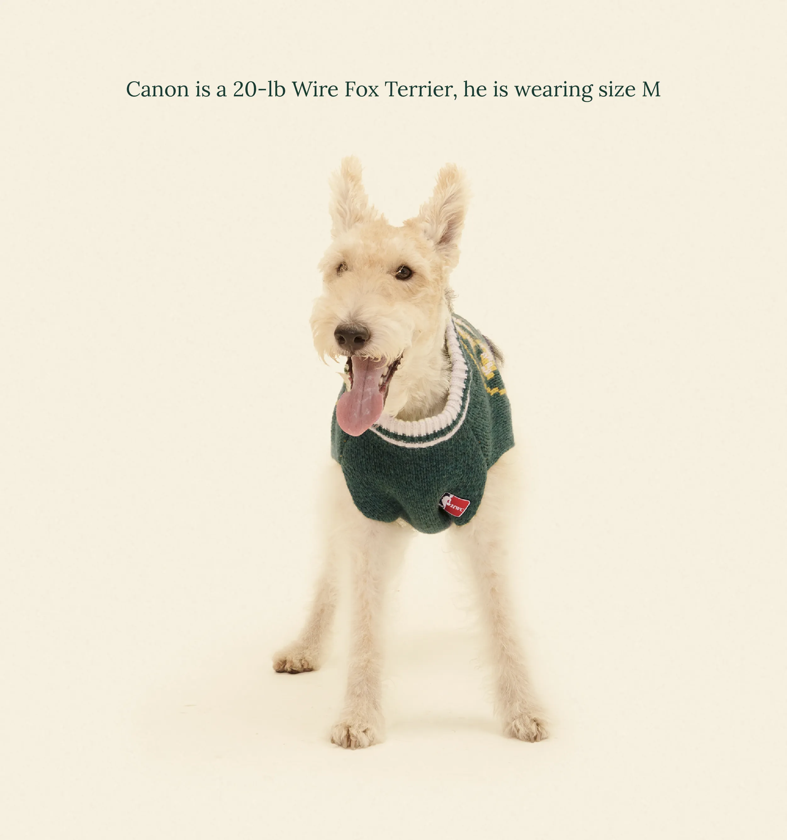 Boston Celtics Dog Sweater - NBA