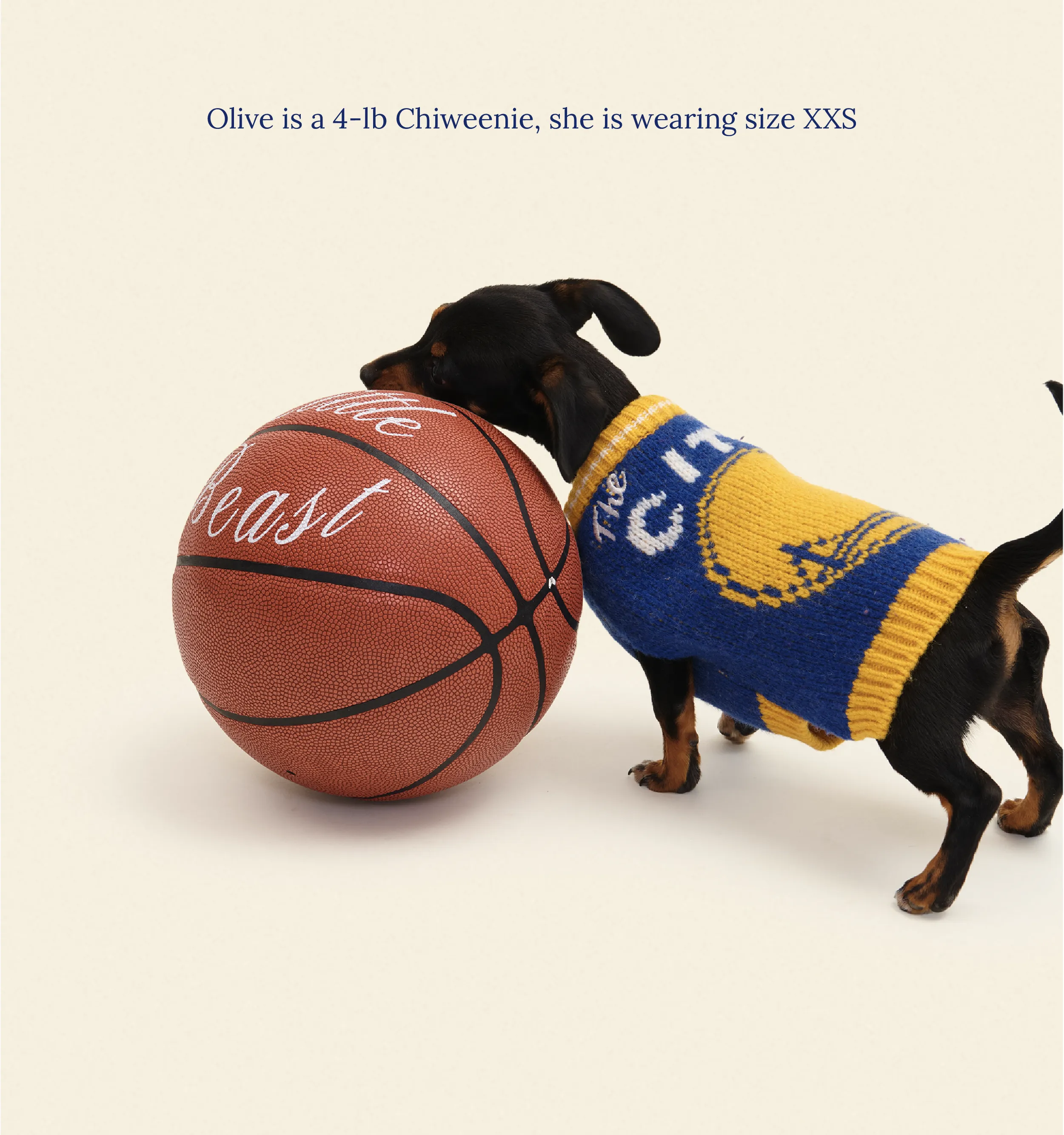 Golden State Warriors Dog Sweater - NBA