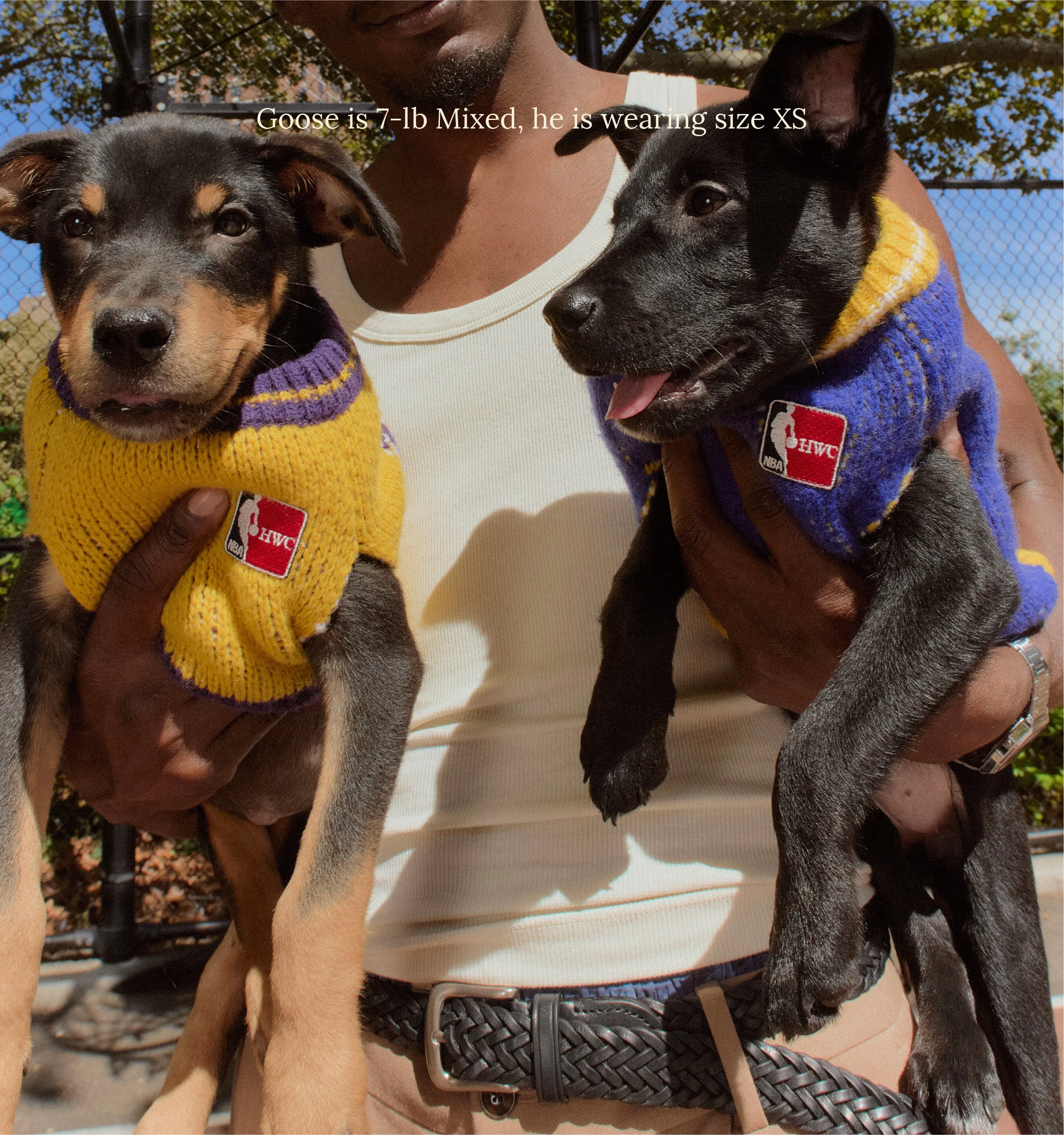 Golden State Warriors Dog Sweater - NBA