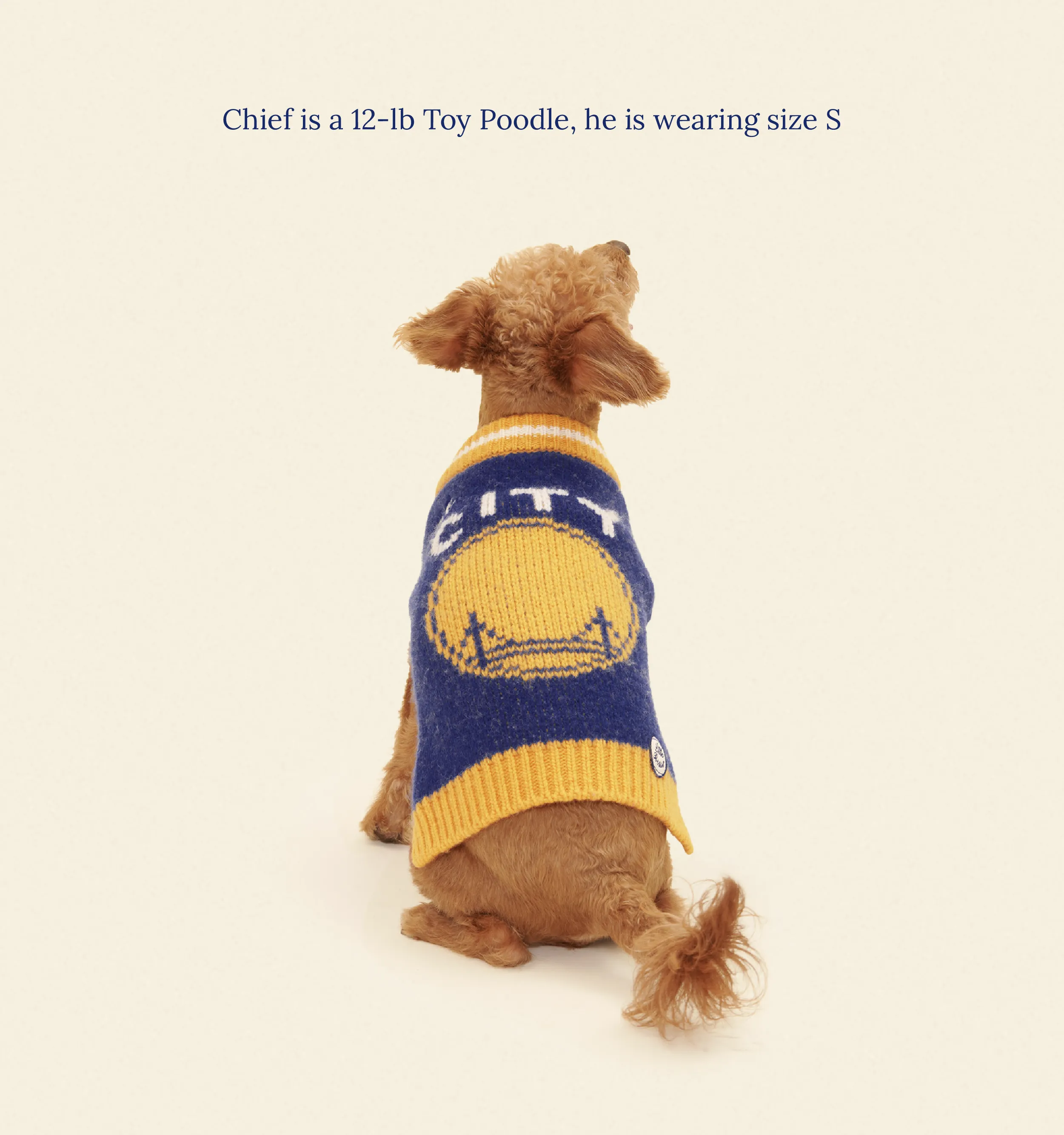 Golden State Warriors Dog Sweater - NBA