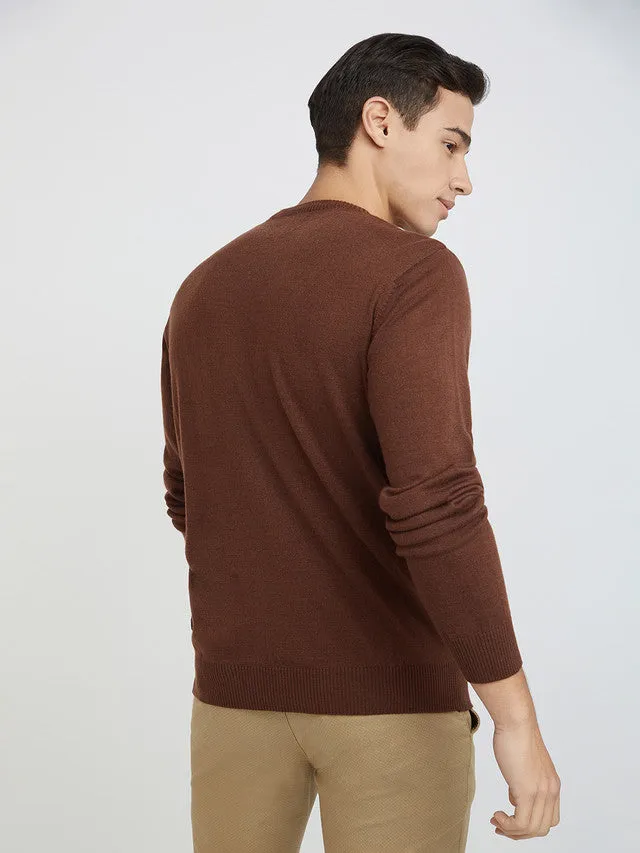 Men Brown Argyle Acrylic Wool Blend Round Collar Sweaters