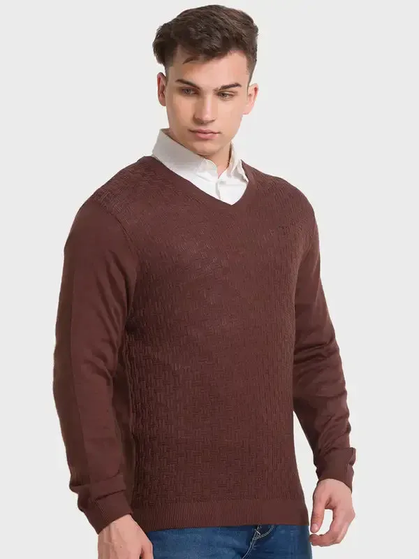 Men Brown Tailored Fit Structure Acrylic Merino Blend Full Sleeve V Neck Collar Sweaters