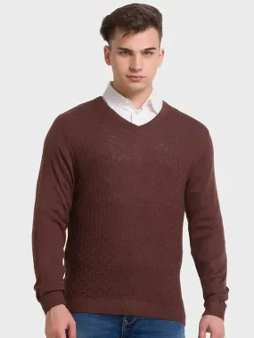 Men Brown Tailored Fit Structure Acrylic Merino Blend Full Sleeve V Neck Collar Sweaters
