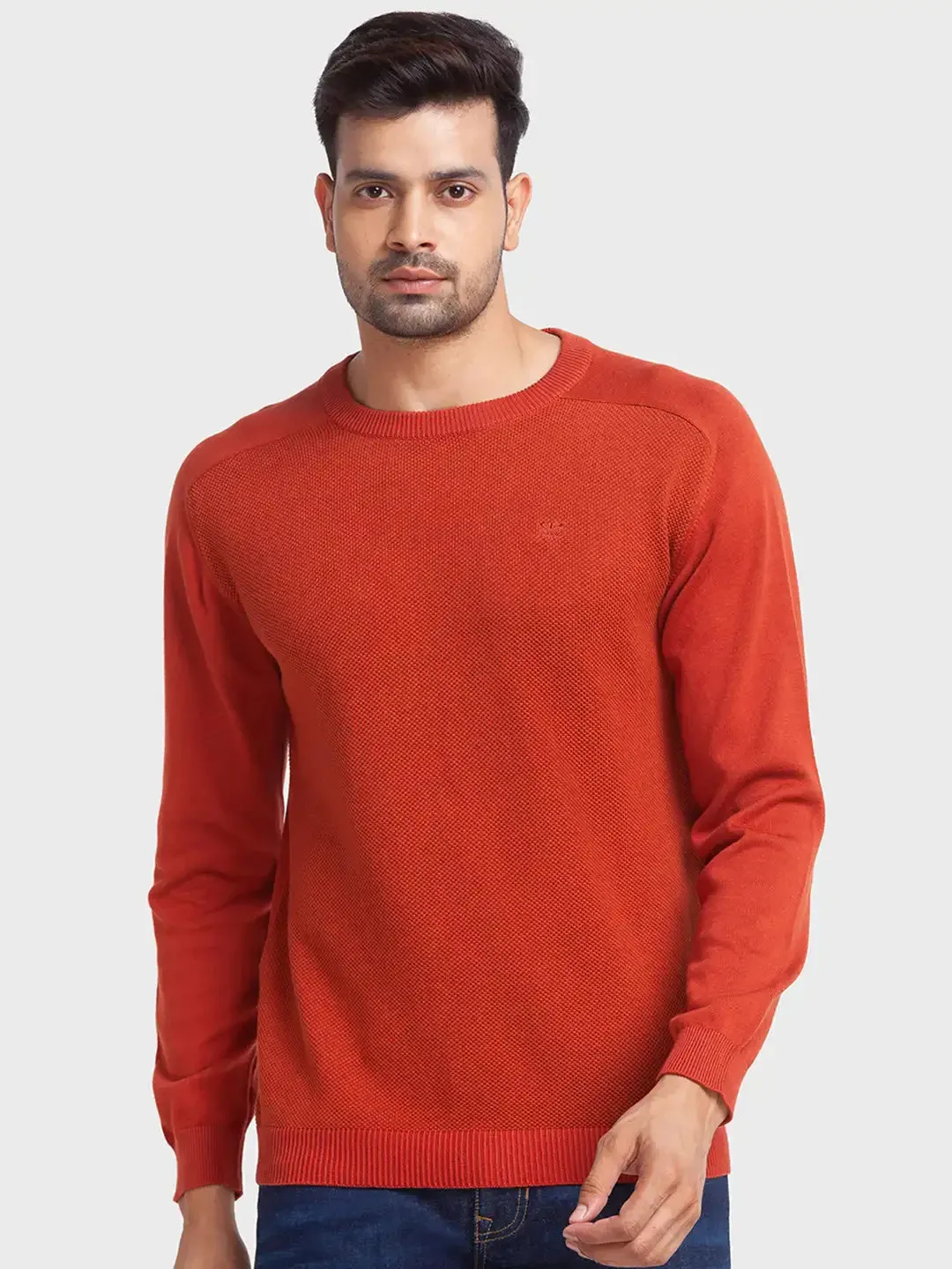 Men Orange Tailored Fit Jacquard Cotton Full Sleeve Round Collar Sweaters