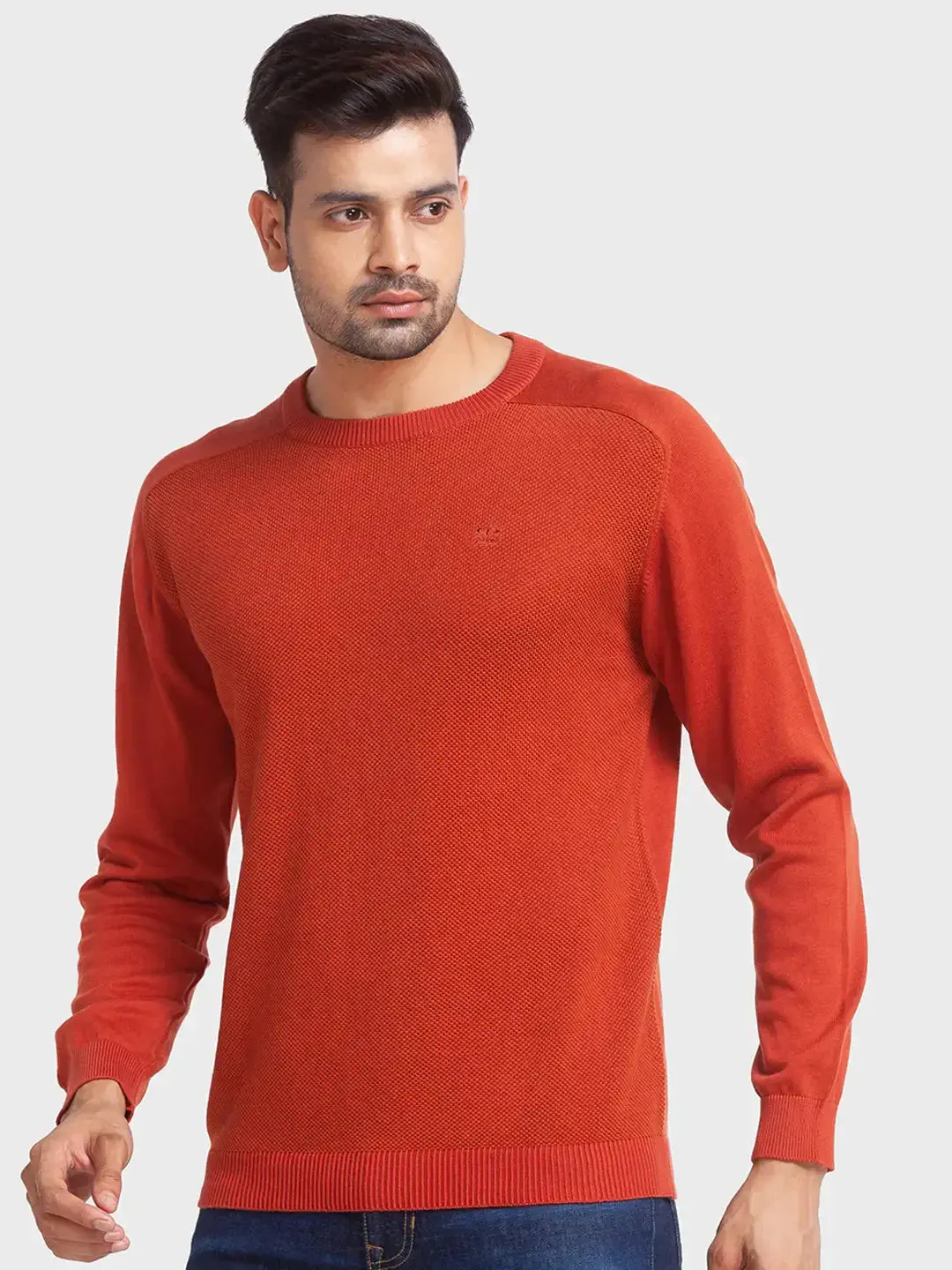 Men Orange Tailored Fit Jacquard Cotton Full Sleeve Round Collar Sweaters