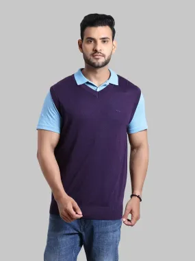 Men Violet Classic Fit Solid Wool Blend Sleeveless V Neck Collar Sweaters