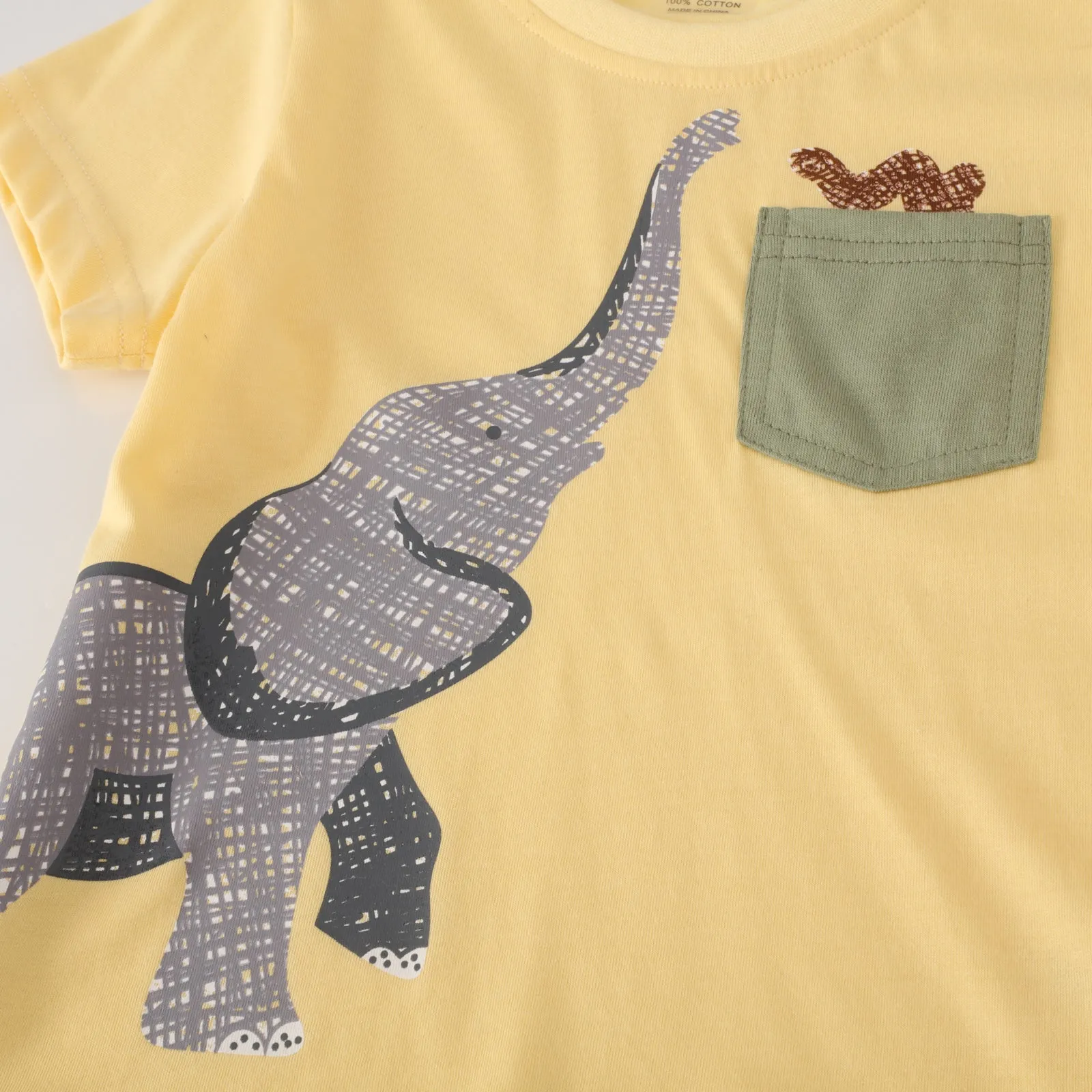 Toddler Boy's Elephant Print T-shirt with Shorts Set